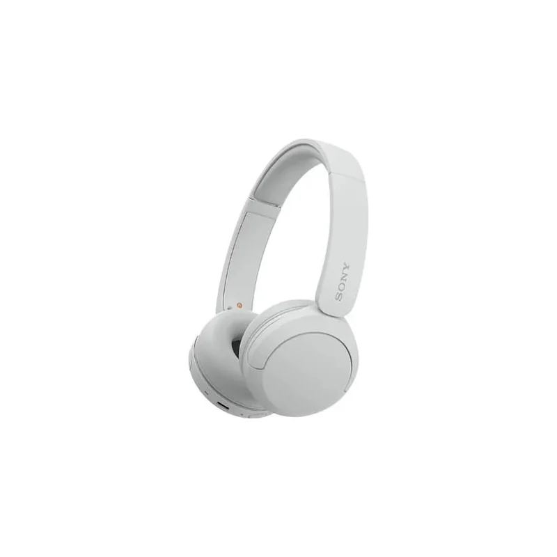 Sony WH-CH520